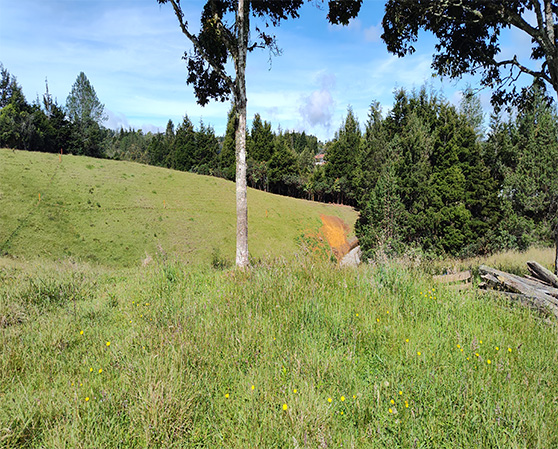 Exclusividad Chorro Limpio