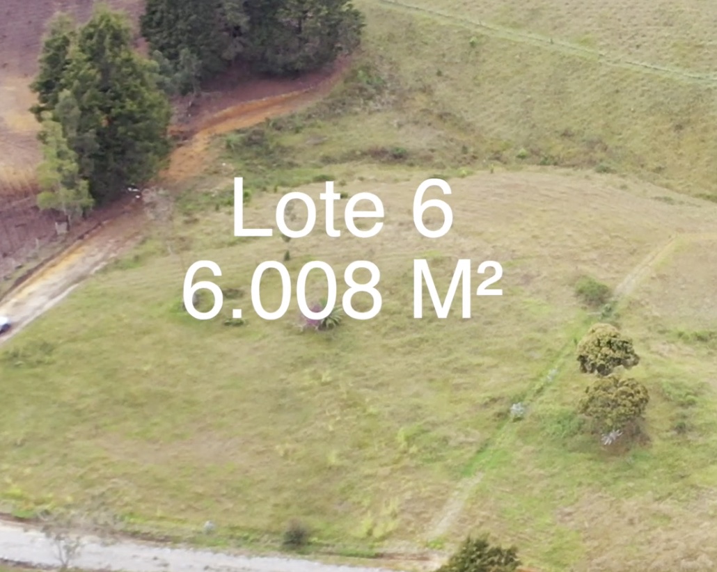 Lote 6
